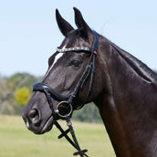 Kieffer Snaffle Bridle Viola Swedish with Buckle and Flash strap Black