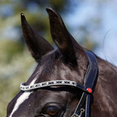 Kieffer Snaffle Bridle Viola Swedish with Buckle and Flash strap Black