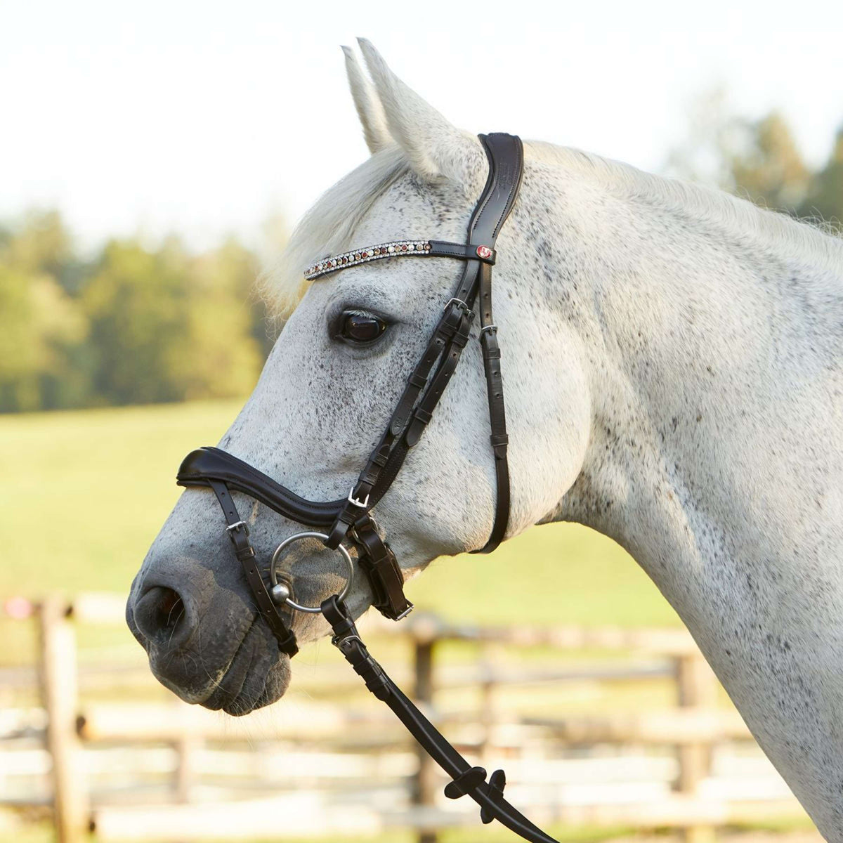 Kieffer Snaffle Bridle Viola Swedish with Buckle and Flash strap Brown