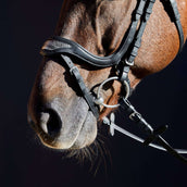 Kieffer Bridle Softtech Line Anouk Black