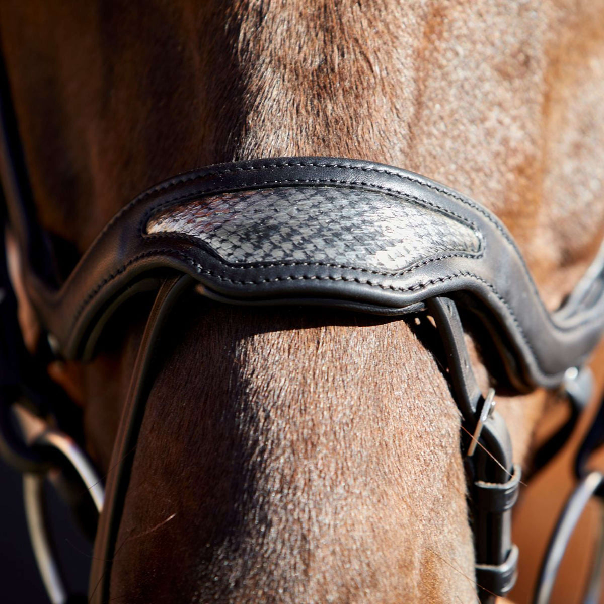 Kieffer Bridle Softtech Line Anouk Black