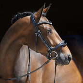 Kieffer Bridle Softtech Line Anouk Black/lacquer