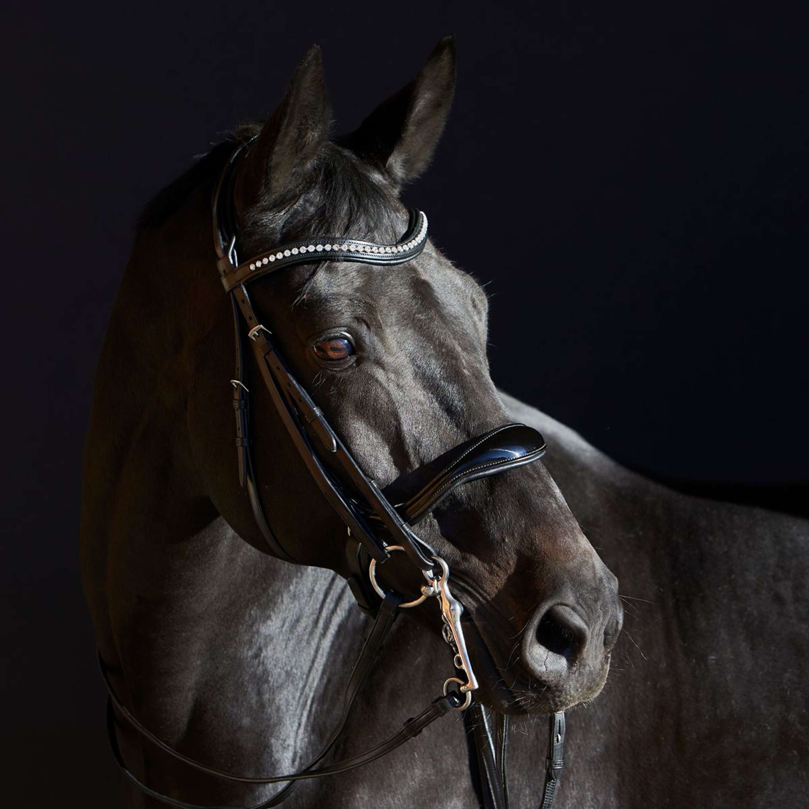 Kieffer Double Bridle Ultrasoft Amy Black