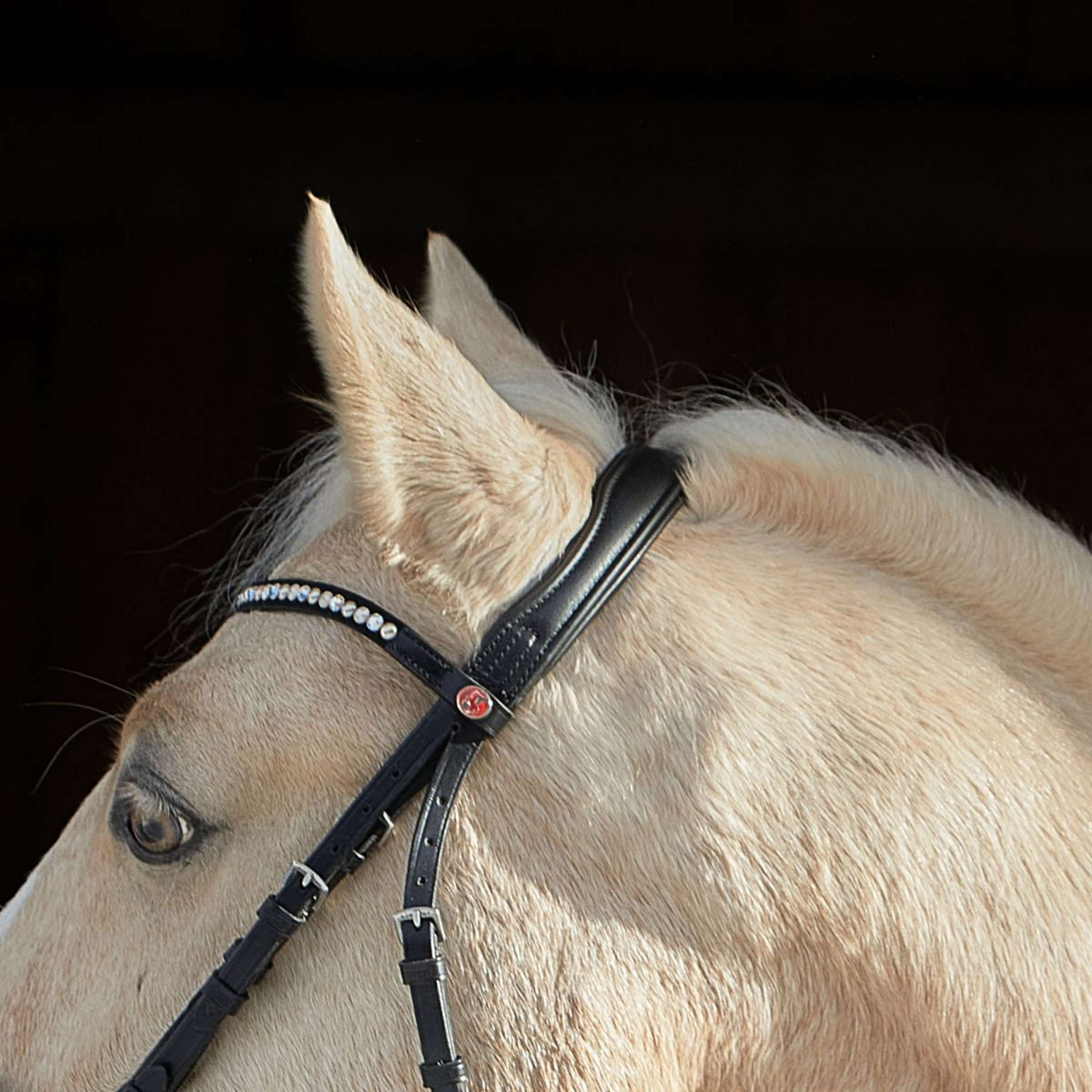 Kieffer Snaffle Bridle Ilona Bright Crystals