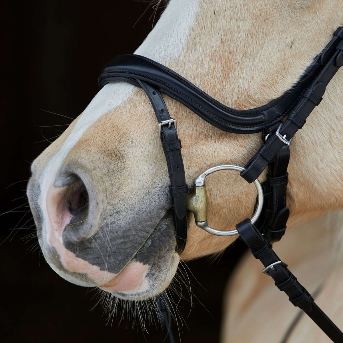 Kieffer Snaffle Bridle Ilona Bright Crystals