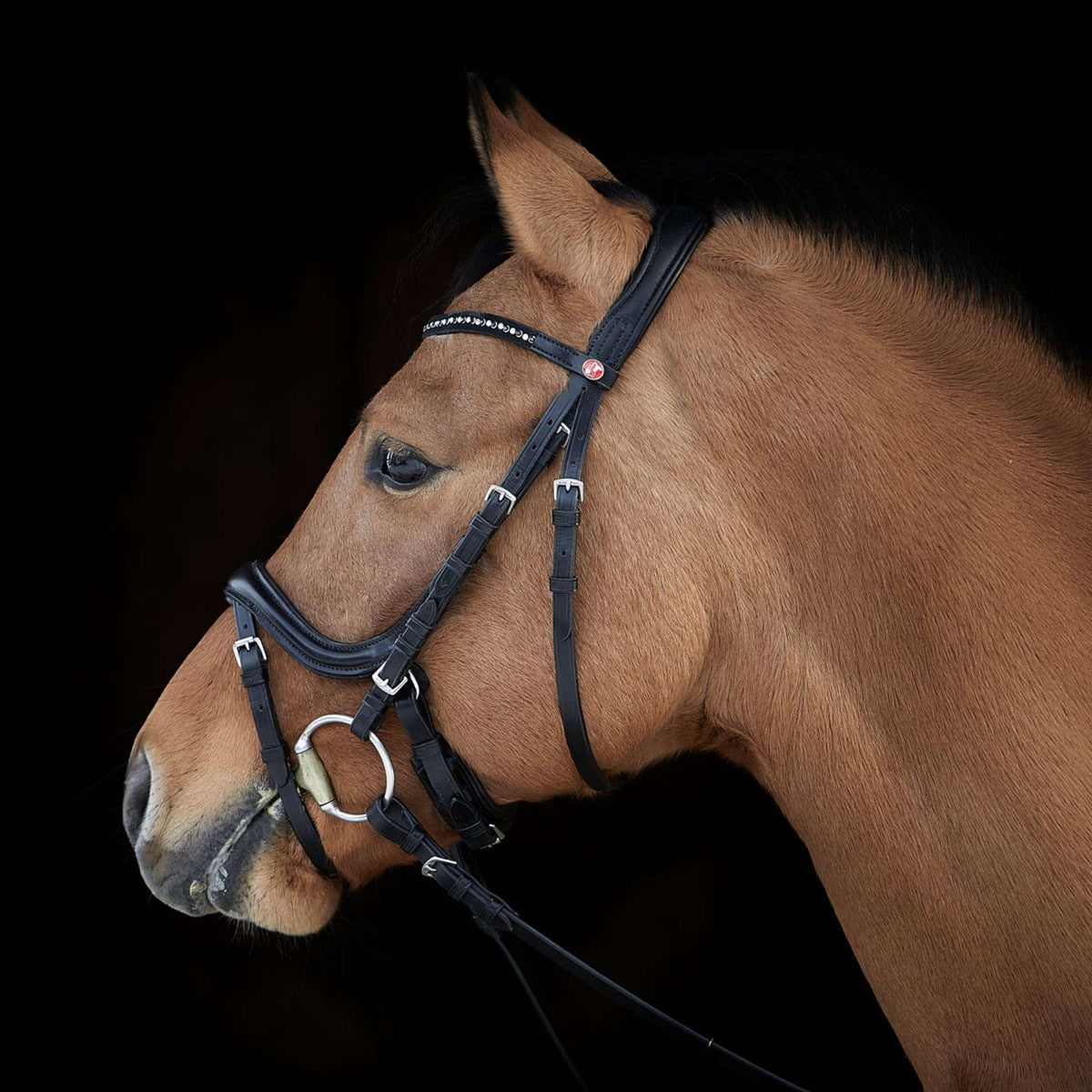 Kieffer Snaffle Bridle Ilona Black/White crystals