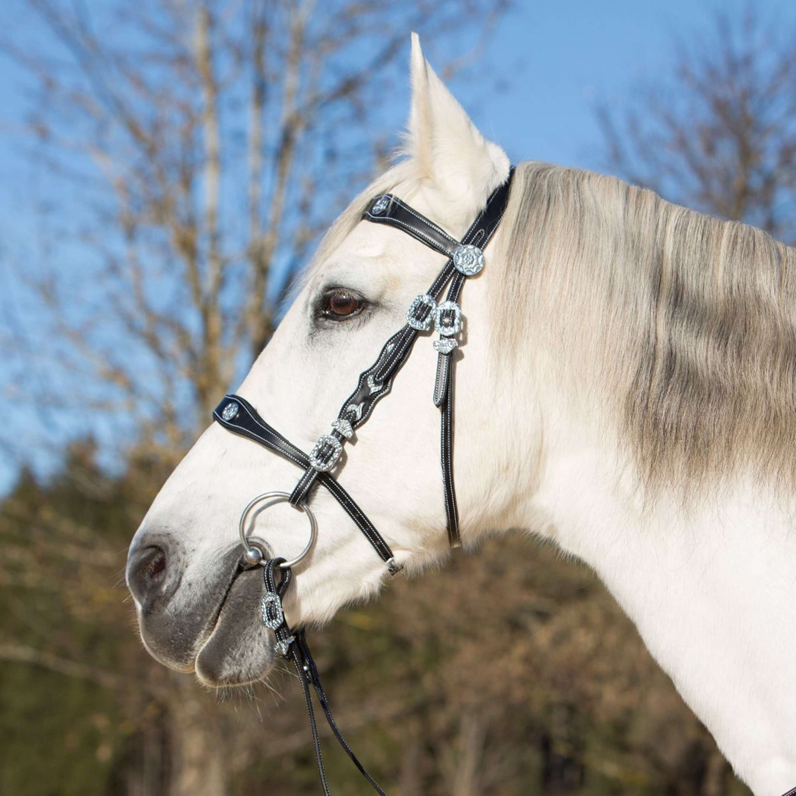 Kieffer Snaffle Bridle Isabella Spanish Black/Silver