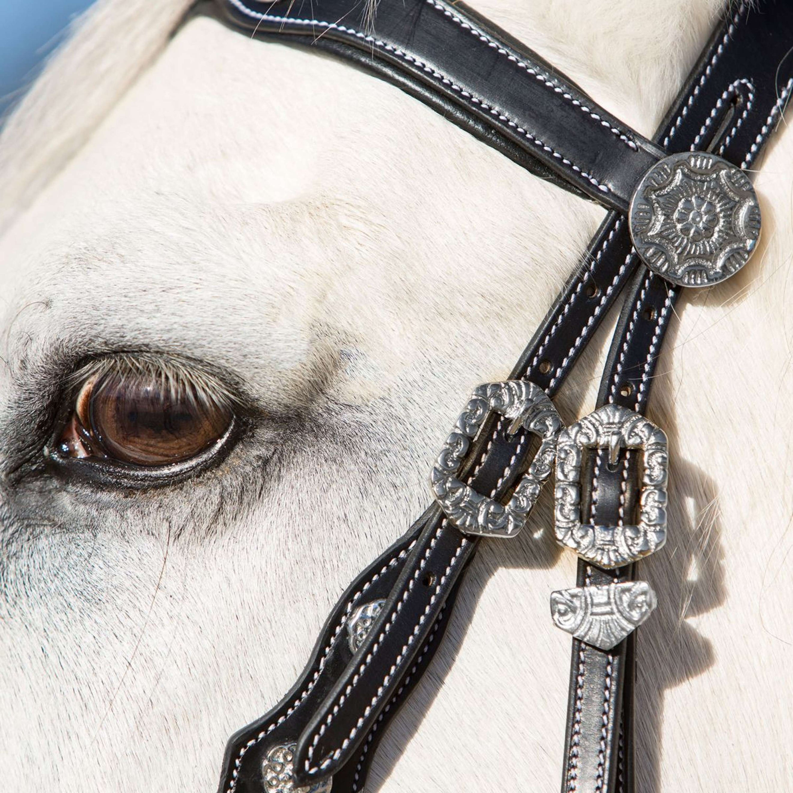 Kieffer Snaffle Bridle Isabella Spanish Black/Silver