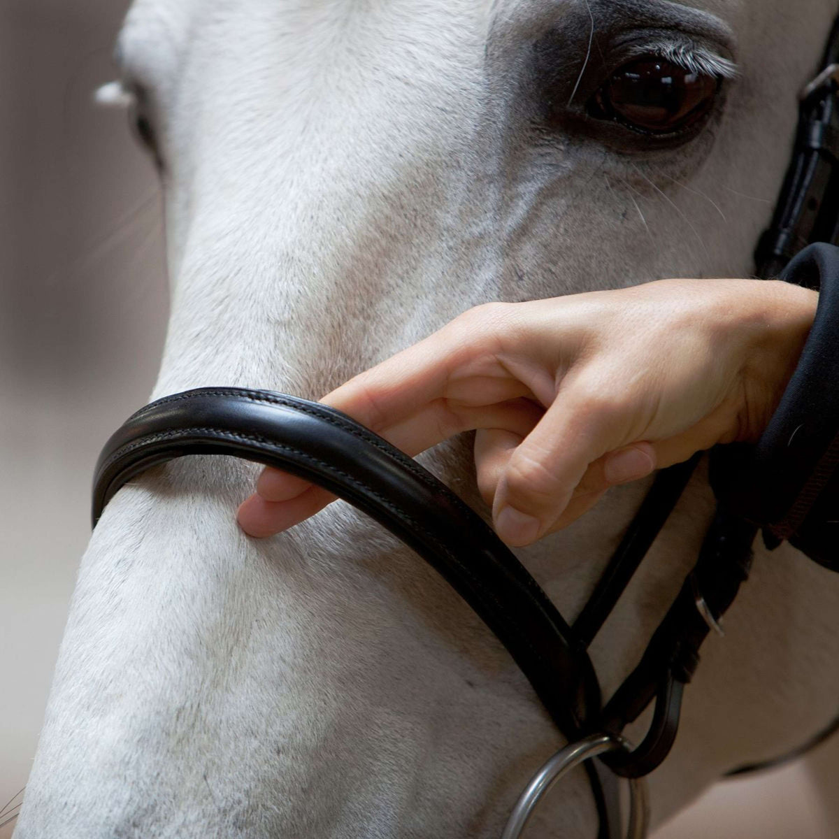 Kieffer Bridle Anja Beran Narrow Flash Black