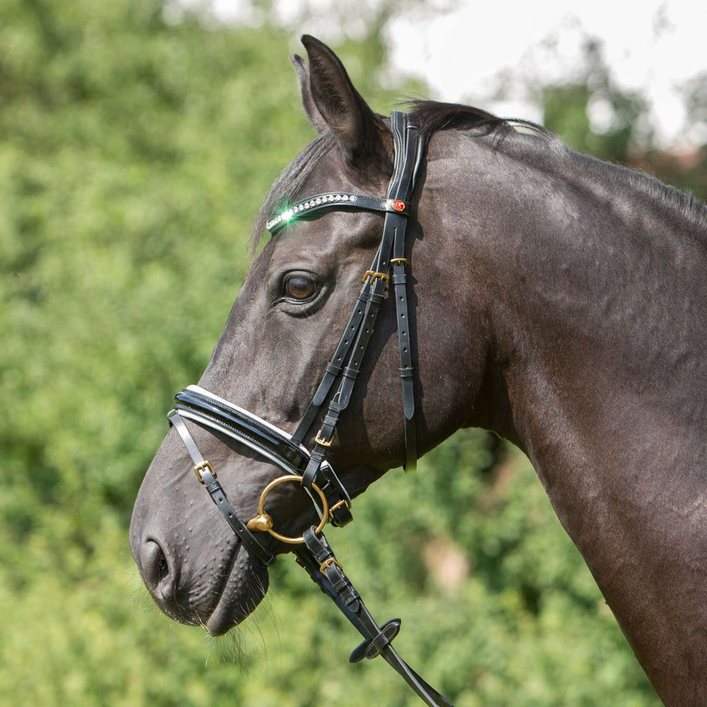 Kieffer Snaffle Bridle Comfort Paris English Noseband with Flash strap, Black Lined, Lak, 35mm Black/White