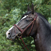 Kieffer Bridle Arezzo Brown/Brown Stones