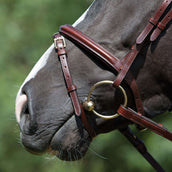 Kieffer Bridle Arezzo Brown/Brown Stones