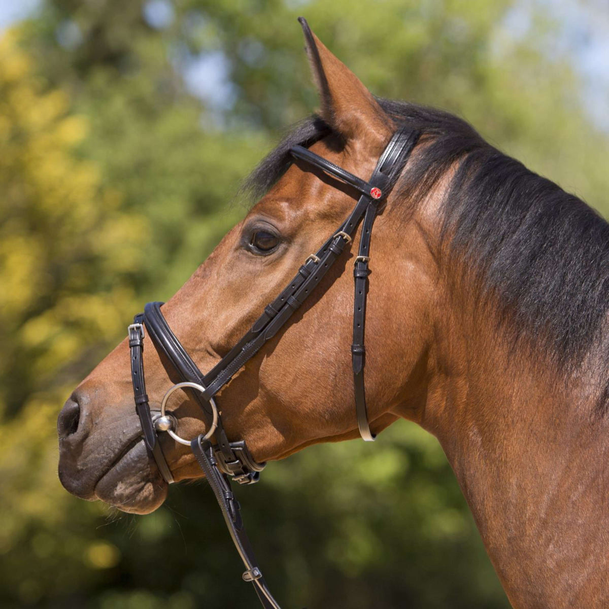 Kieffer Bridle Arezzo Black