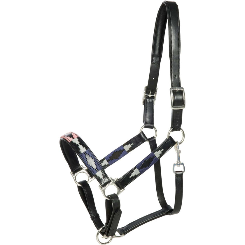 Kieffer Halter Buenos Aires Brass Black/Blue/Pink