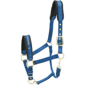 Kieffer Head Collar Nylon Blue