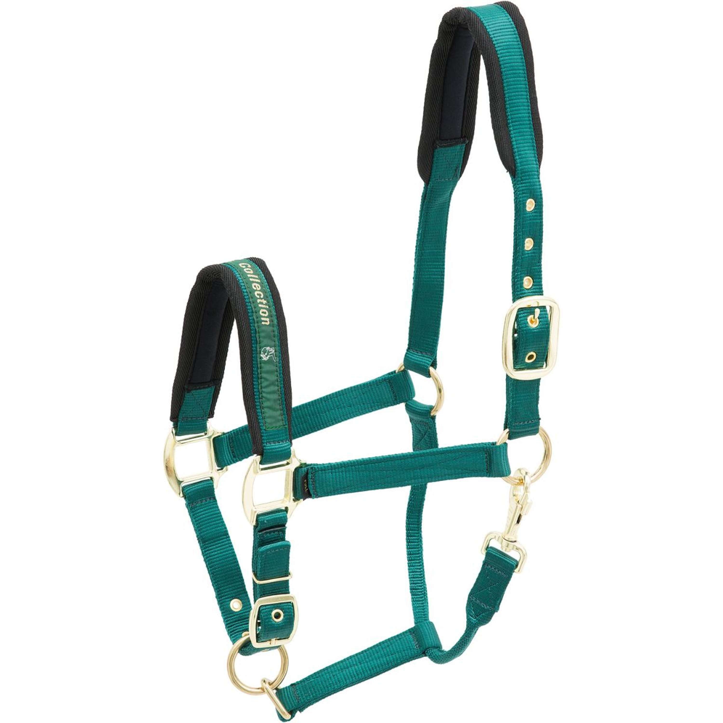 Kieffer Halter Nylon Green