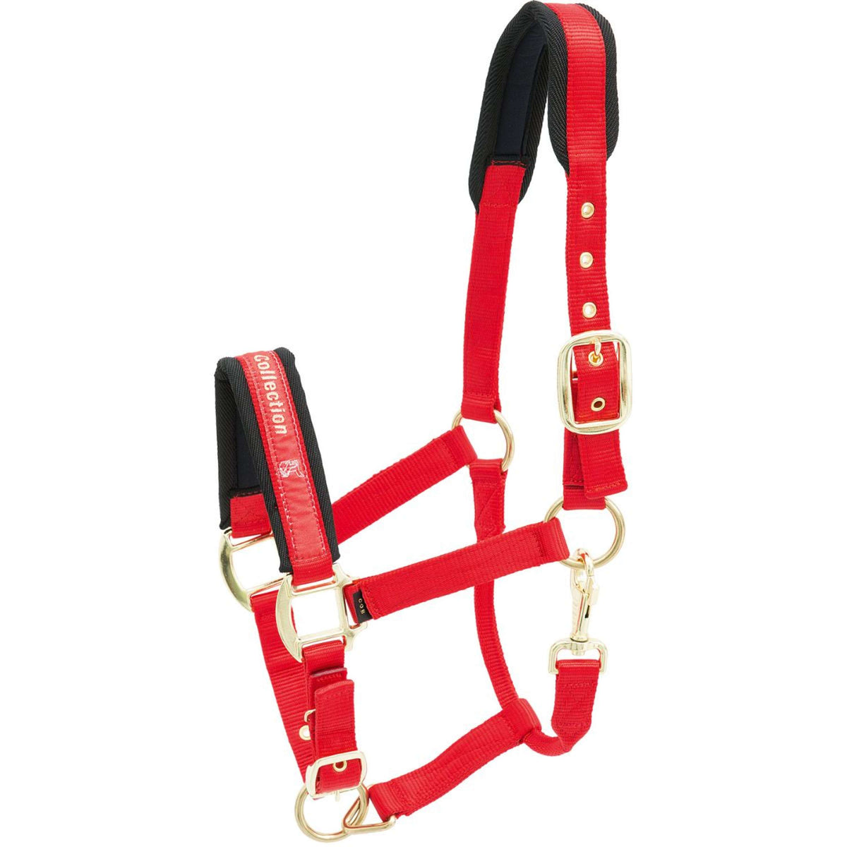 Kieffer Head Collar Nylon Red