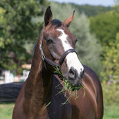 Kieffer Head Collar Leather, Ultrasoft Lined Black