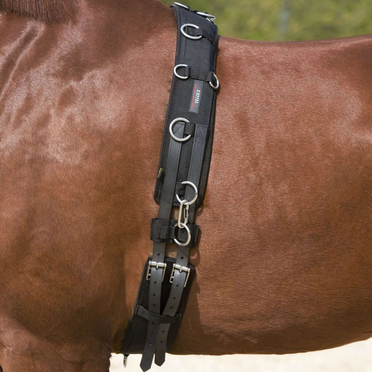 Kieffer Lunging Girth Black