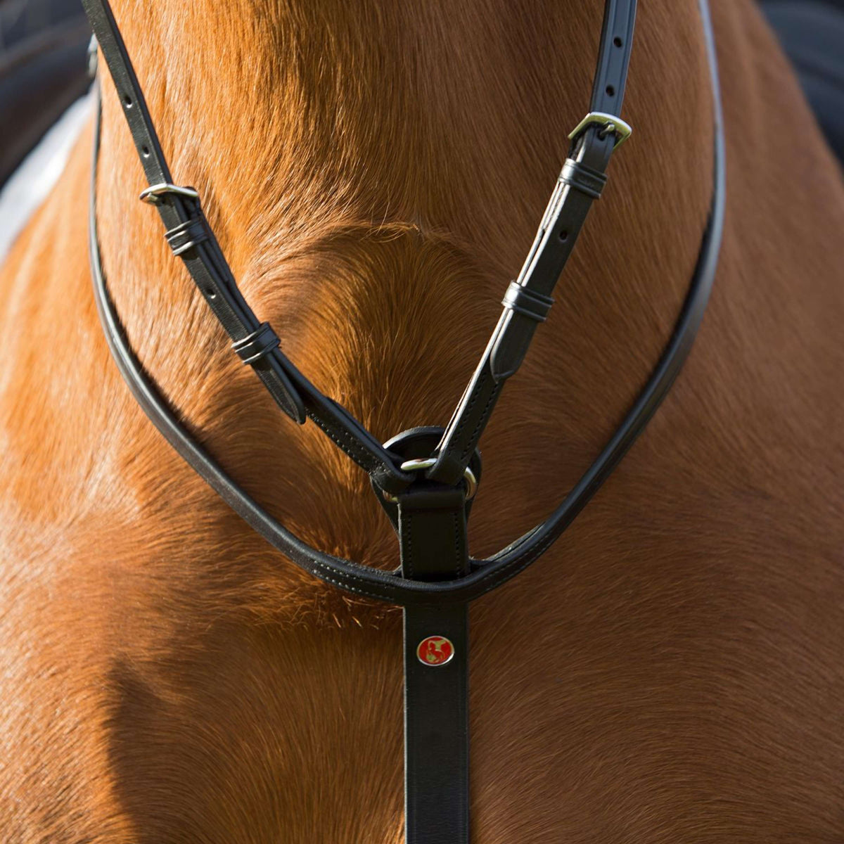 Kieffer Martingale Adjustable Black