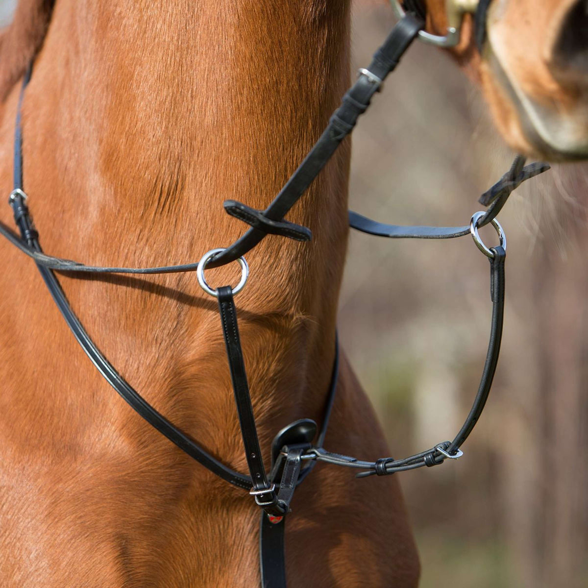 Kieffer Martingale Adjustable Black