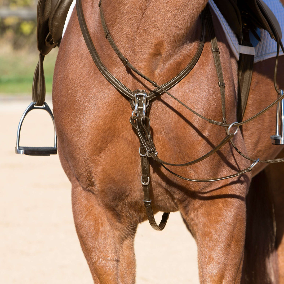 Kieffer Martingale Ultrasoft Brown