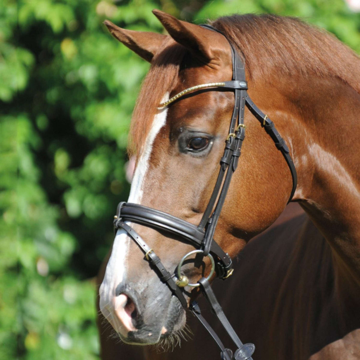 Kavalkade Snaffle Bridle Clinchesse Brown/Brass