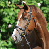 Kavalkade Snaffle Bridle Clinchesse Brown/Silver