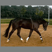 Kavalkade HO Lunging Line Reins