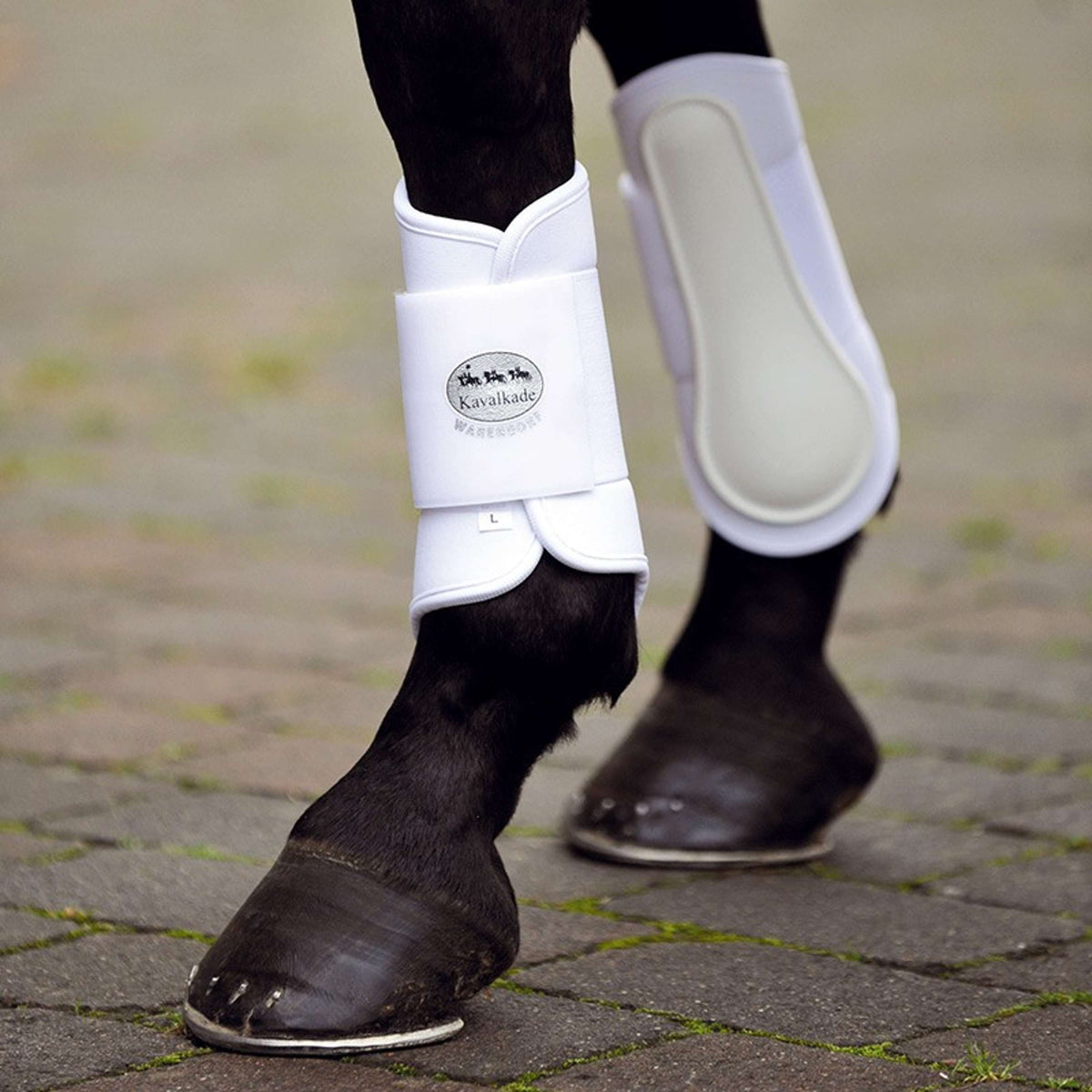 Kavalkade Tendon Boots Softy Hind Legs White