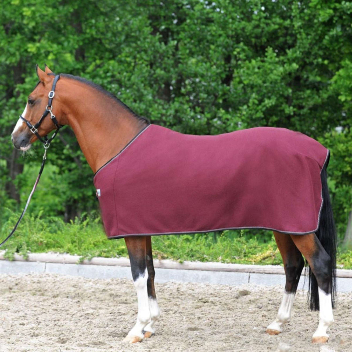 Kavalkade Sweat Rug Ecoline Fleece Bordeaux