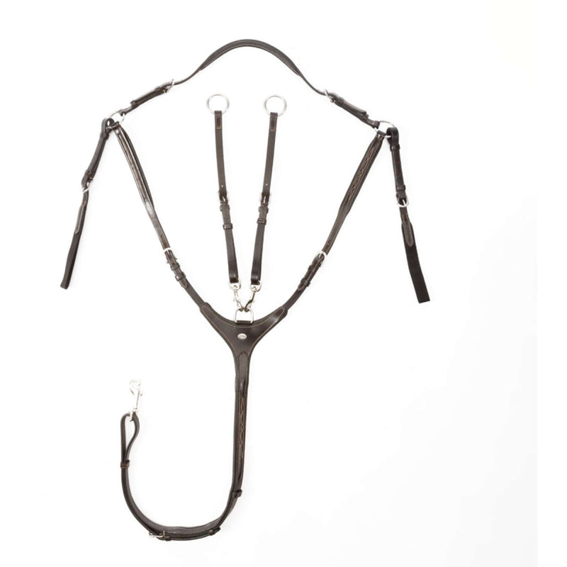 Kavalkade Chest Buckle Diandro Brown