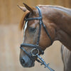 Kavalkade Snaffle Bridle Quentin English Black