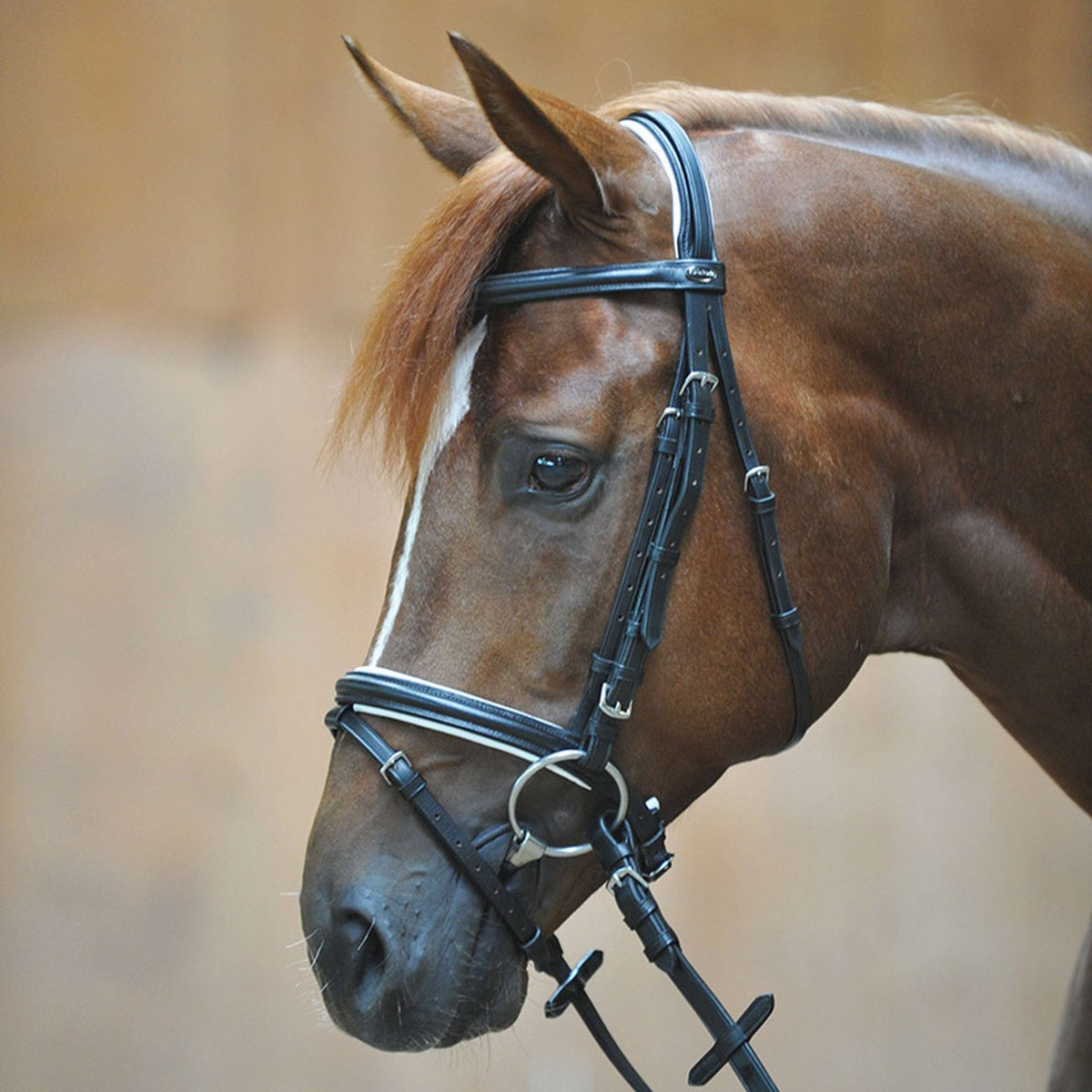 Kavalkade Snaffle Bridle Quentin English Black/White