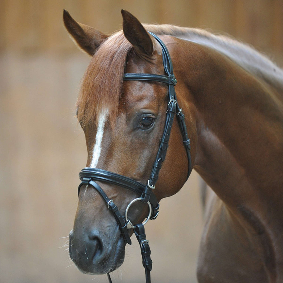 Kavalkade Snaffle Bridle Quentin English Black