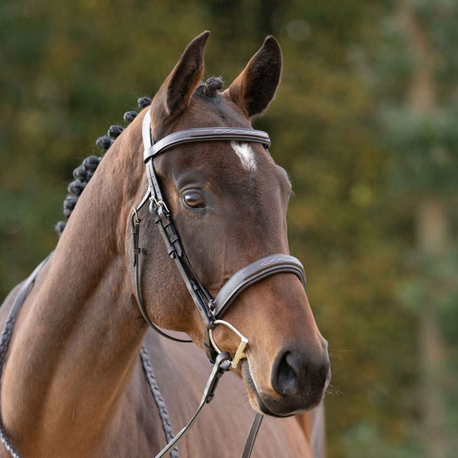 Kavalkade Bridle Benita Brown
