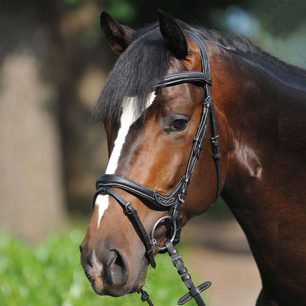 Kavalkade Bridle Ivy Combi Noseband Black