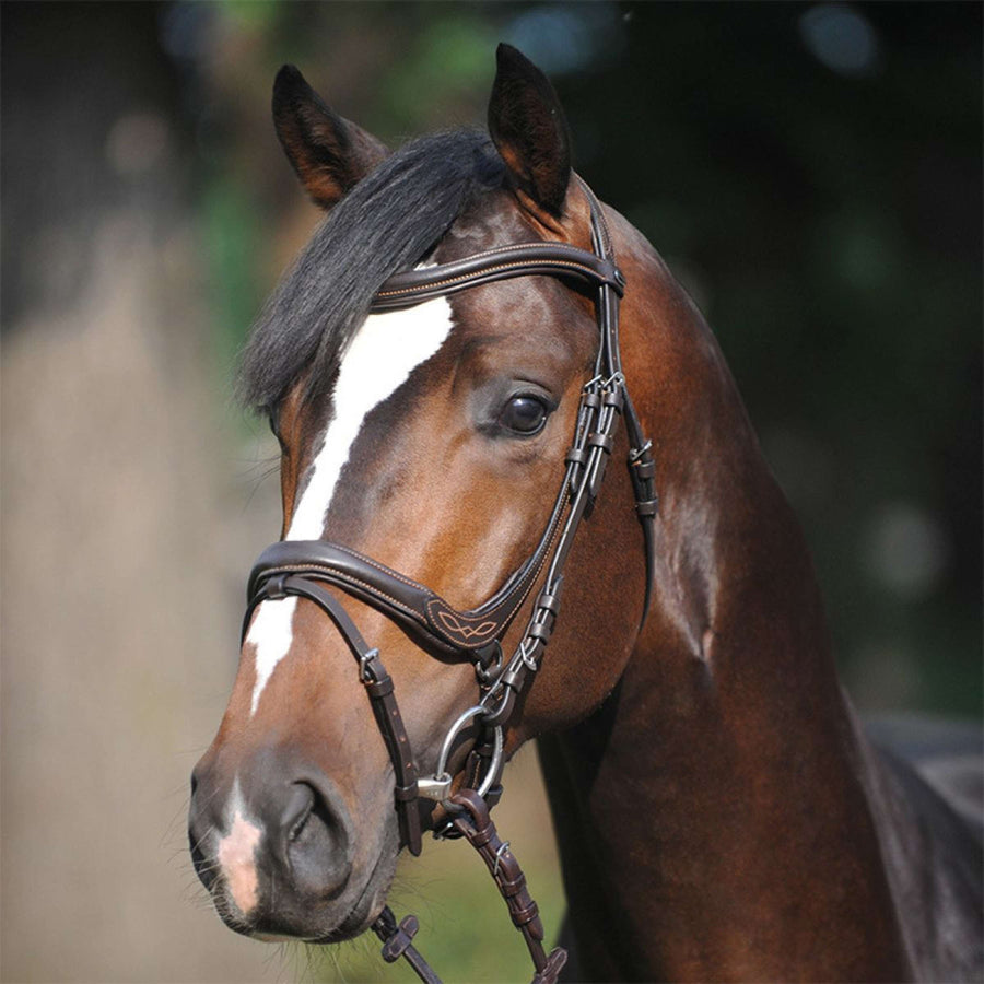 Kavalkade Snaffle Bridle Ivy Brown