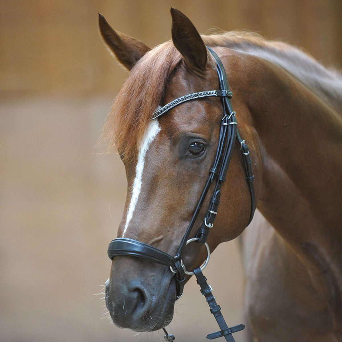 Kavalkade Snaffle Bridle Isabella Black