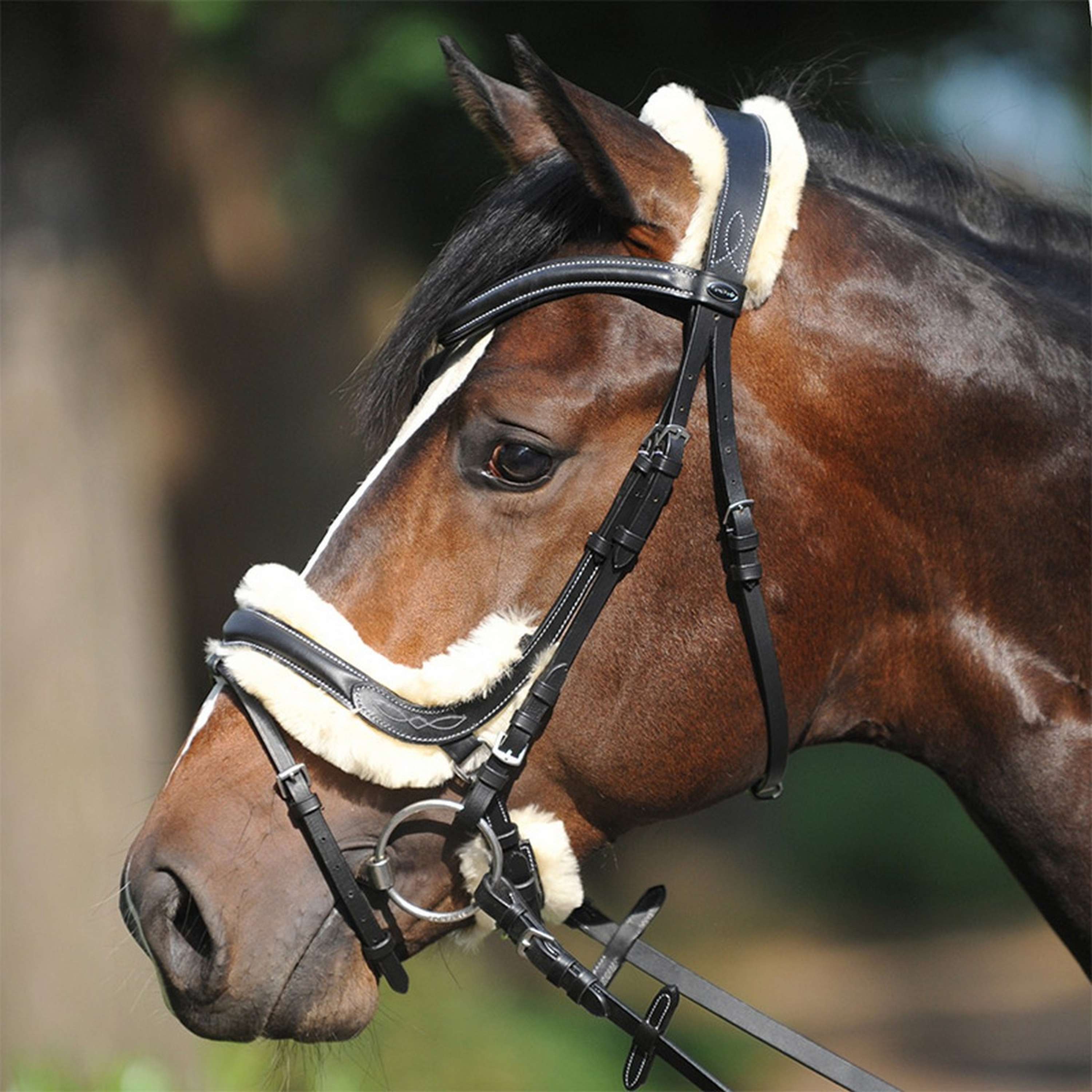 Kavalkade Snaffle Bridle Ivy Lammfell Black