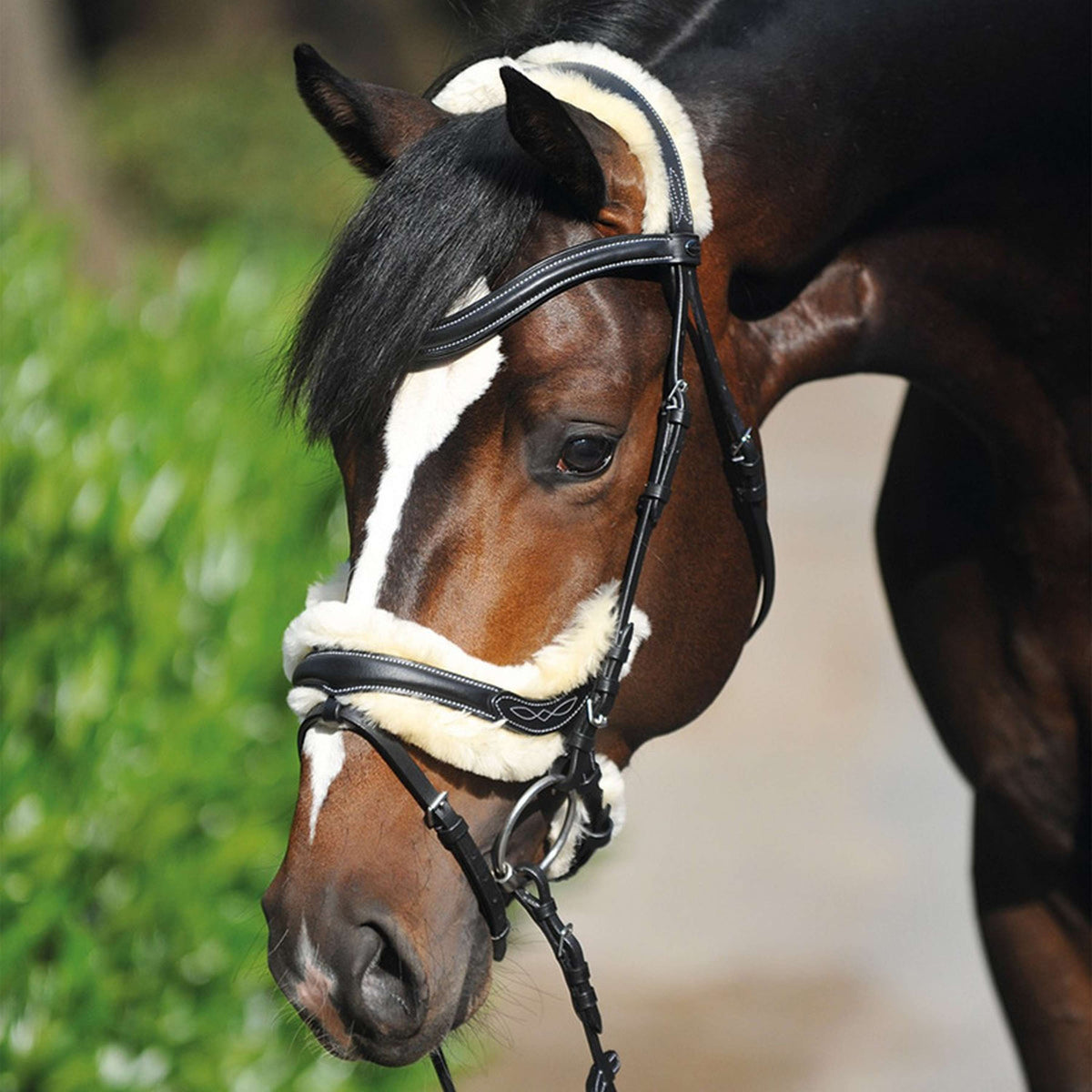 Kavalkade Bridle Ivy with Lambwool Black