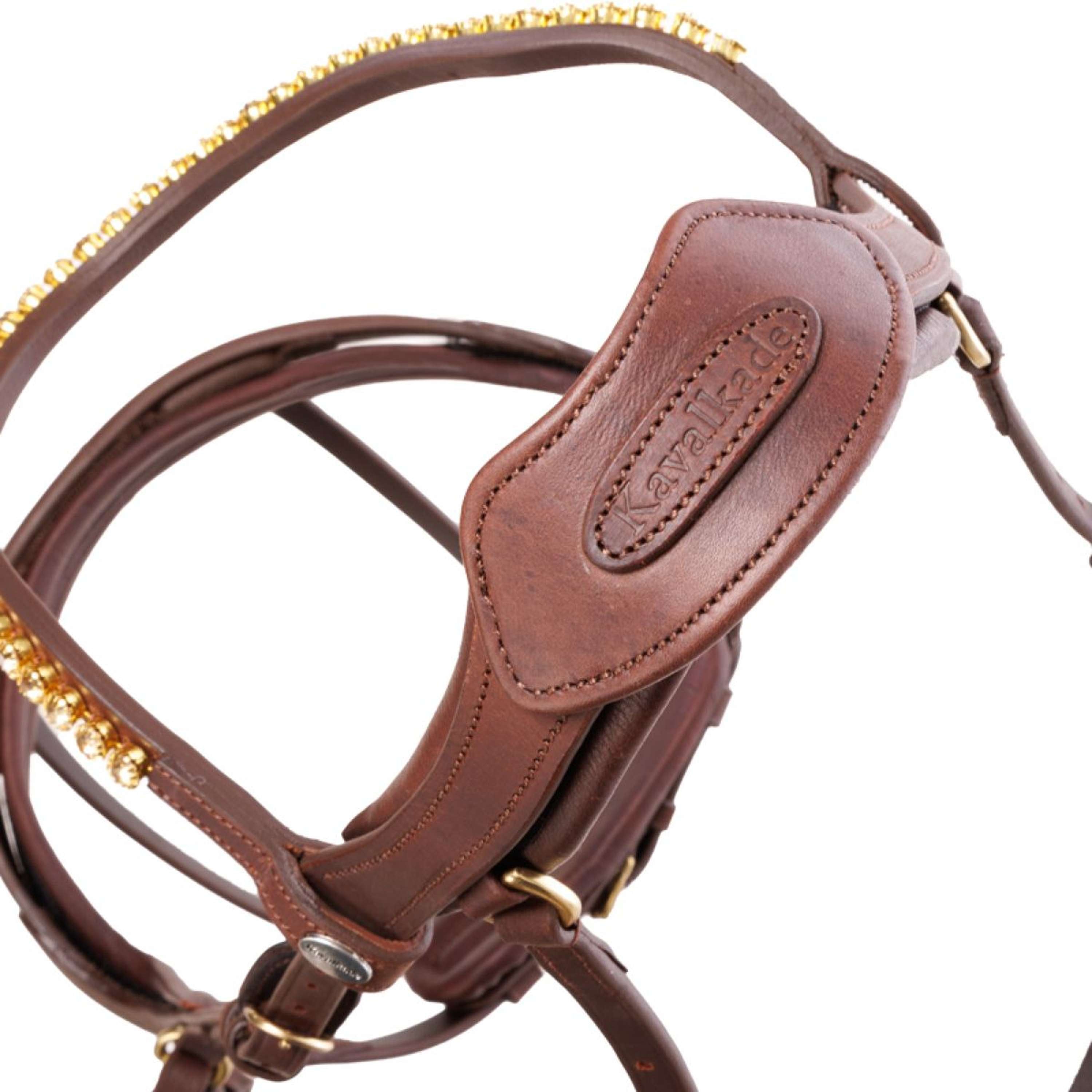 Kavalkade Bridle Caliano Brown/Brass