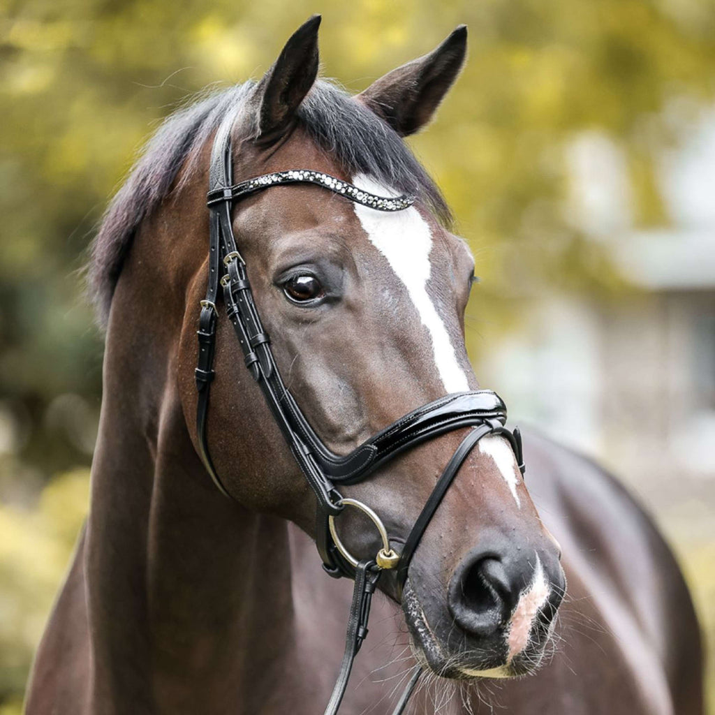 Kavalkade Bridle Ivana English Black