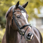 Kavalkade Bridle Ivana English Black