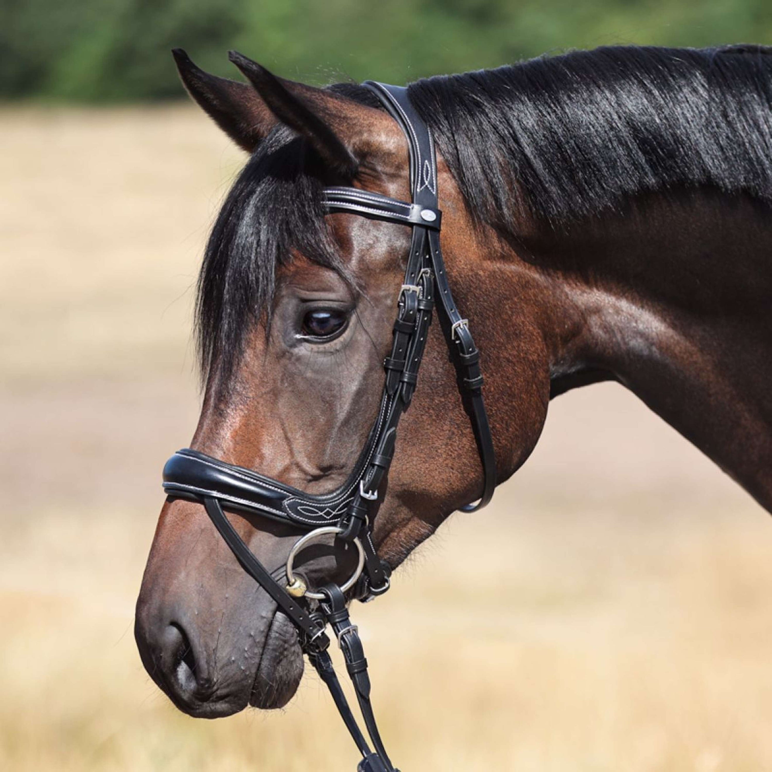 Kavalkade Snaffle Bridle Ivy IR Black