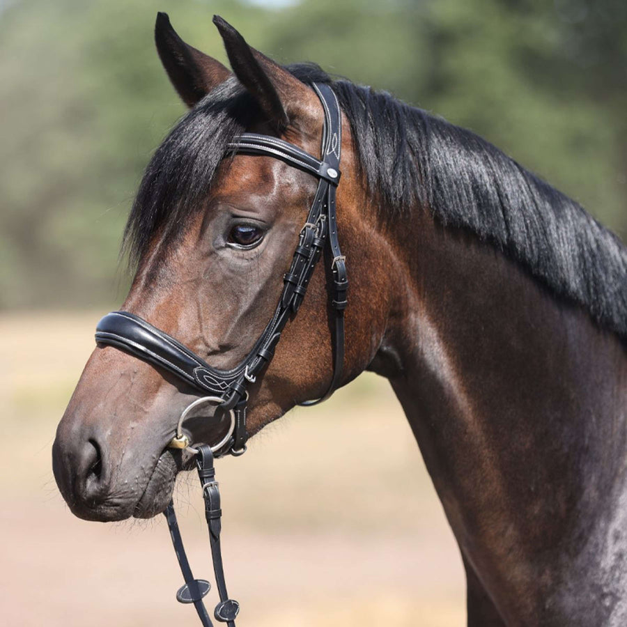 Kavalkade Snaffle Bridle Ivy IR Black