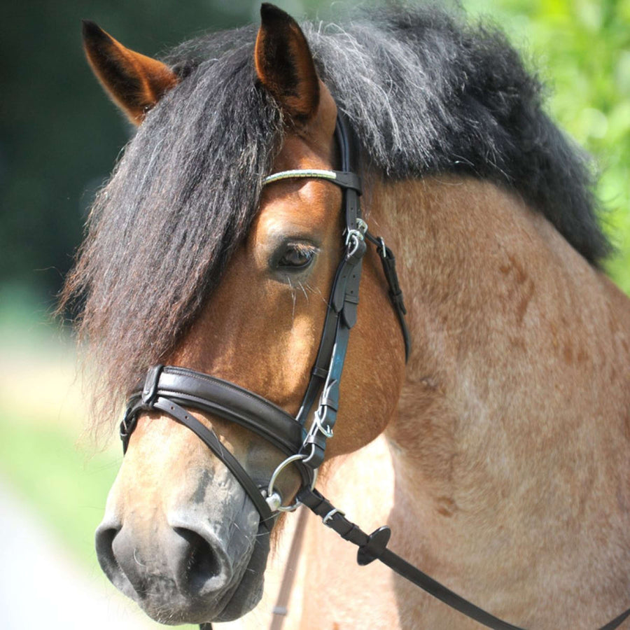 Kavalkade Snaffle Bridle Clinchesse Brown/Silver