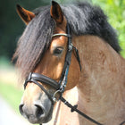 Kavalkade Snaffle Bridle Clinchesse Brown/Silver