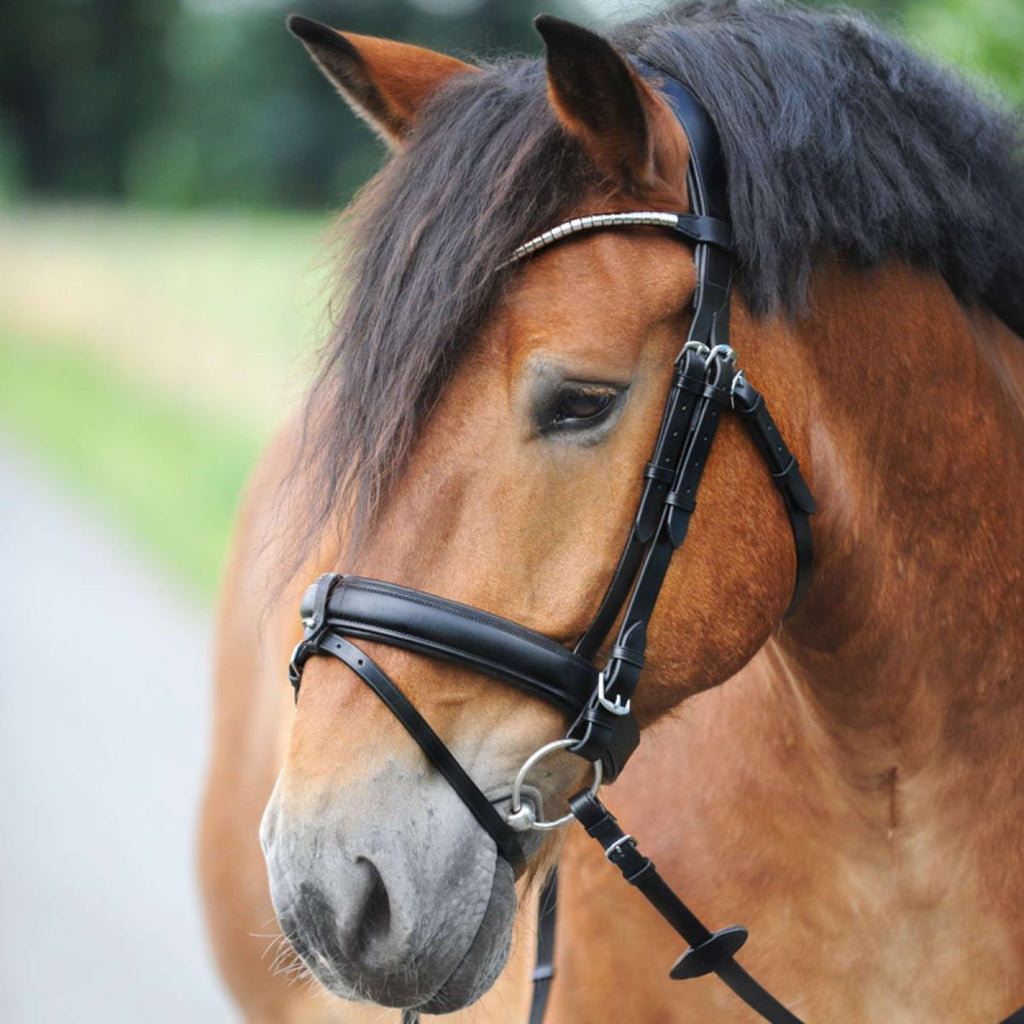 Kavalkade Snaffle Bridle Clinchesse Black/Silver