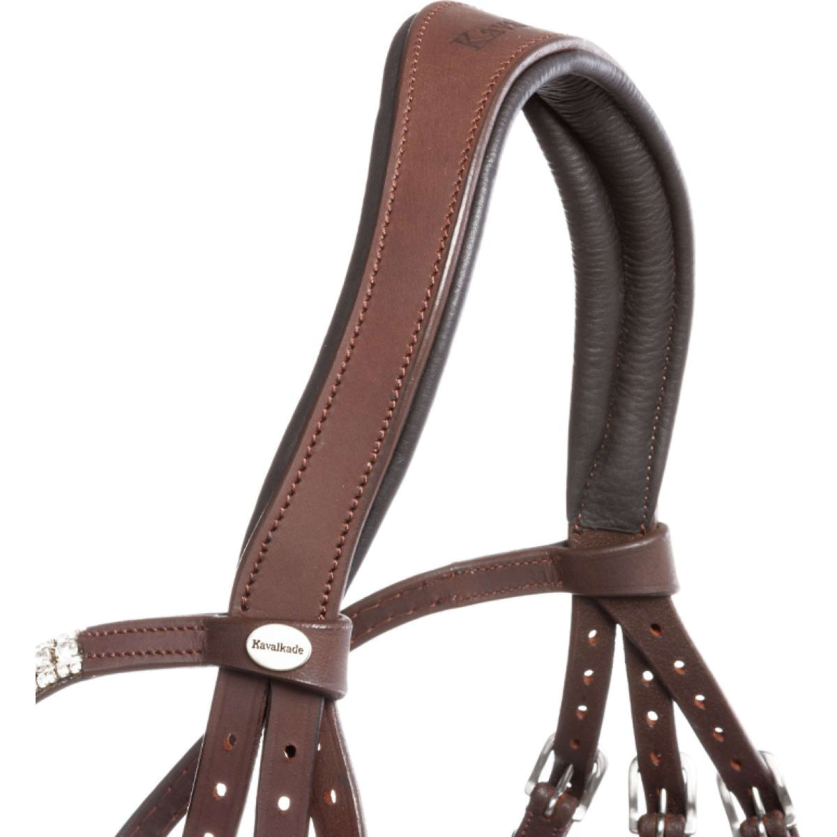 Kavalkade Bridle Everness Brown